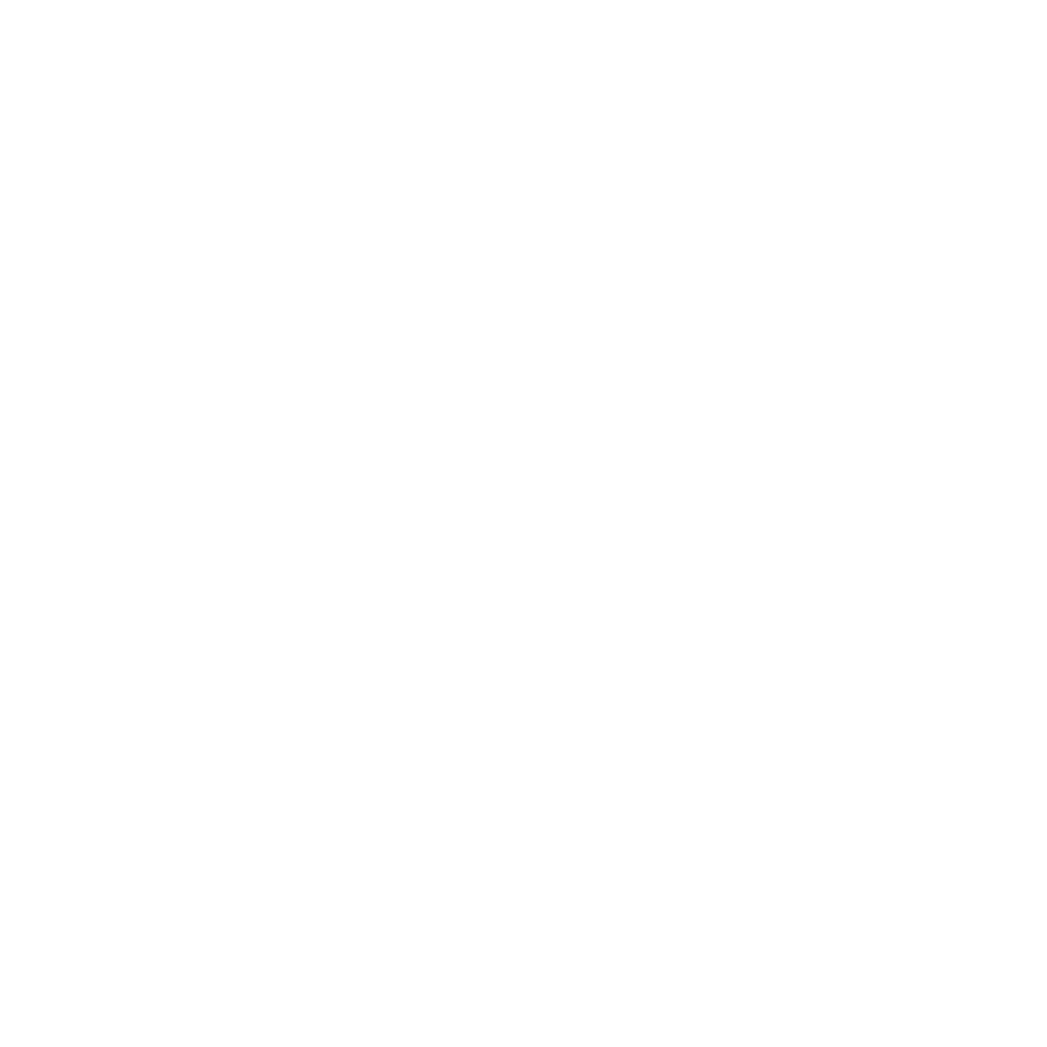 Duen Experience