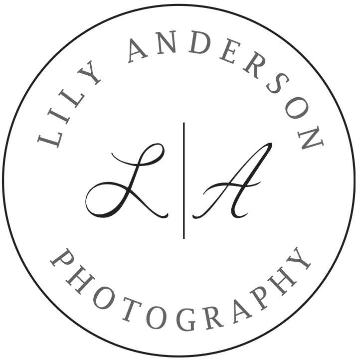 Minnesota Wedding and Portrait Photography | Lily Anderson Photography
