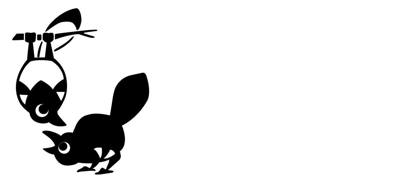 Rad Magpie