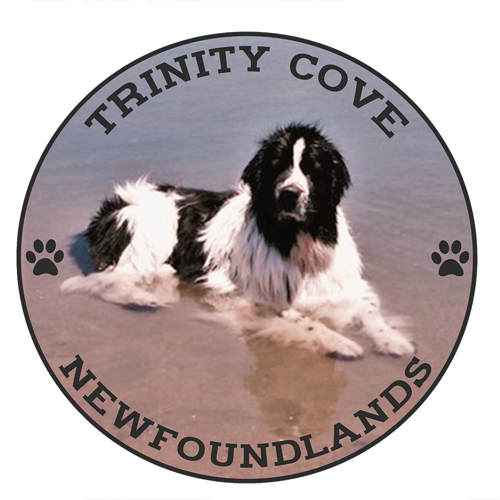 Trinity Cove Newfoundlands
