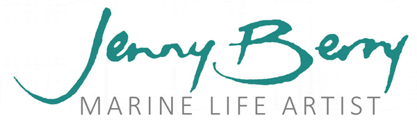 Jenny Berry Marine Life Artist