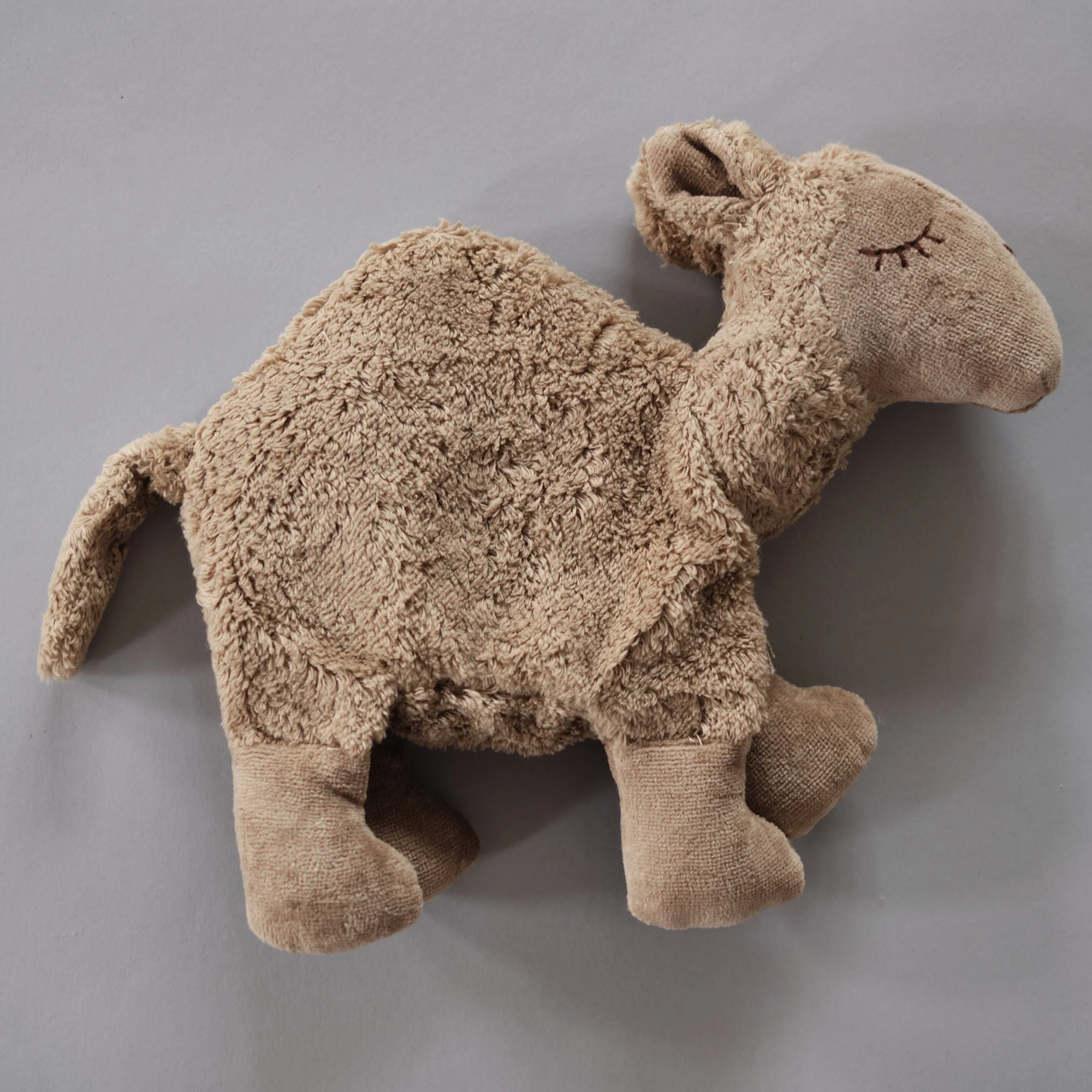 cuddly camel