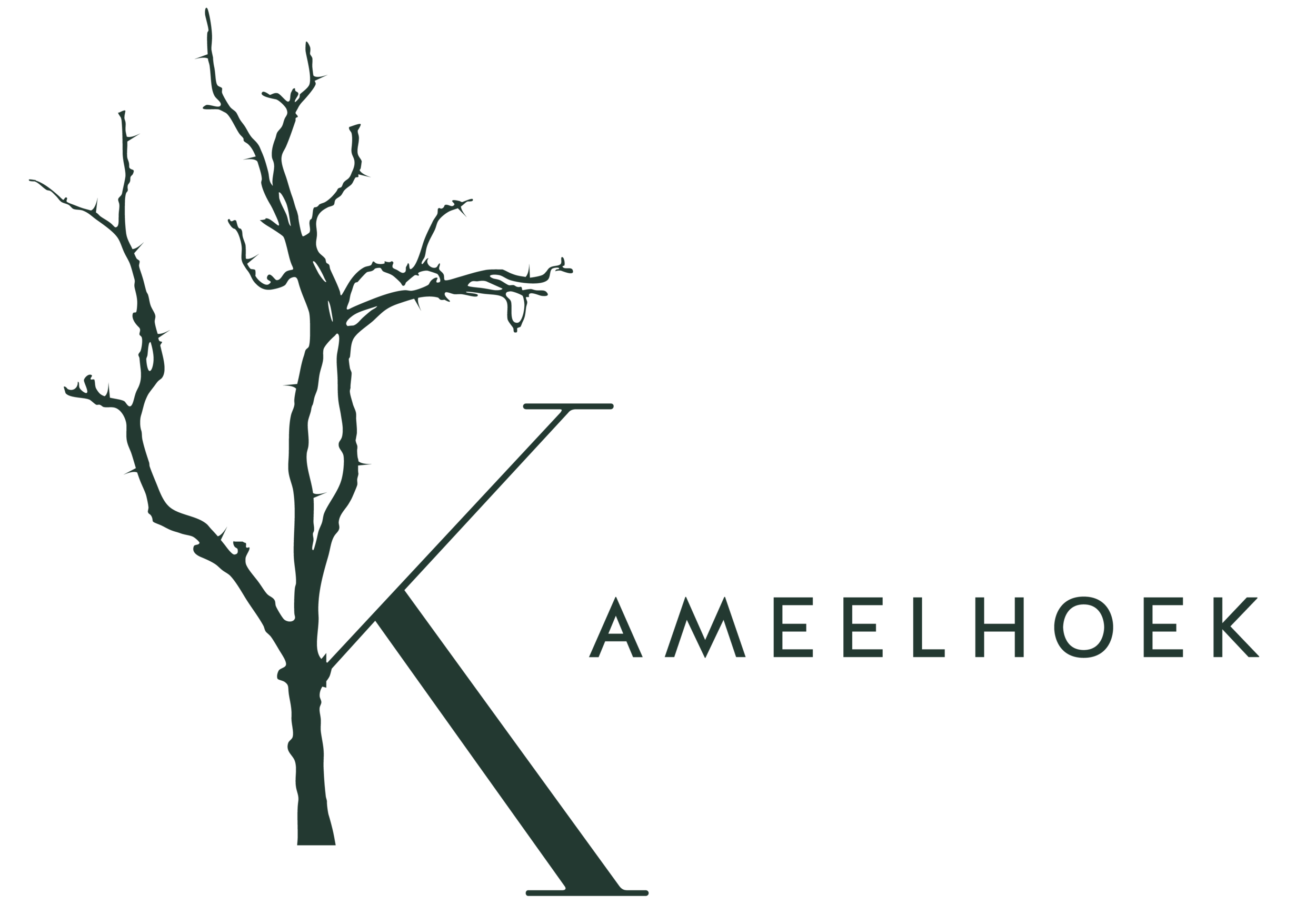 Kameelhoek - Private Game Reserve in Northern Cape