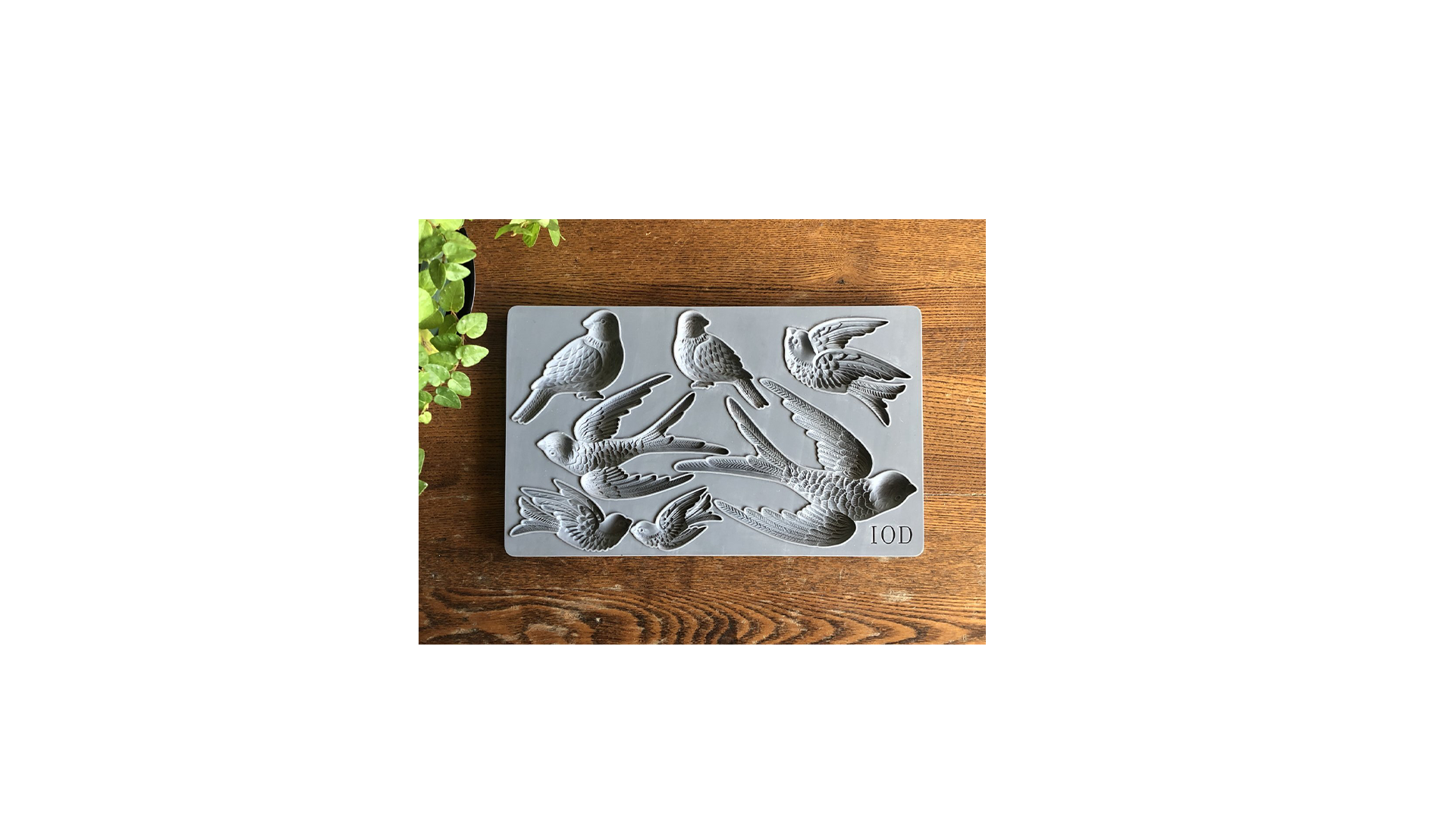 Birdsong Mould