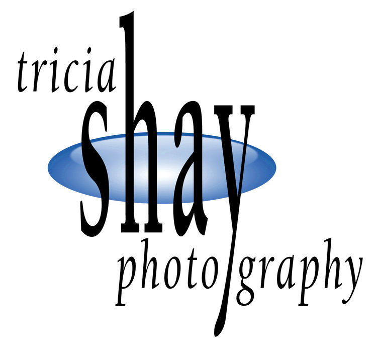 Tricia Shay Architectural Photography