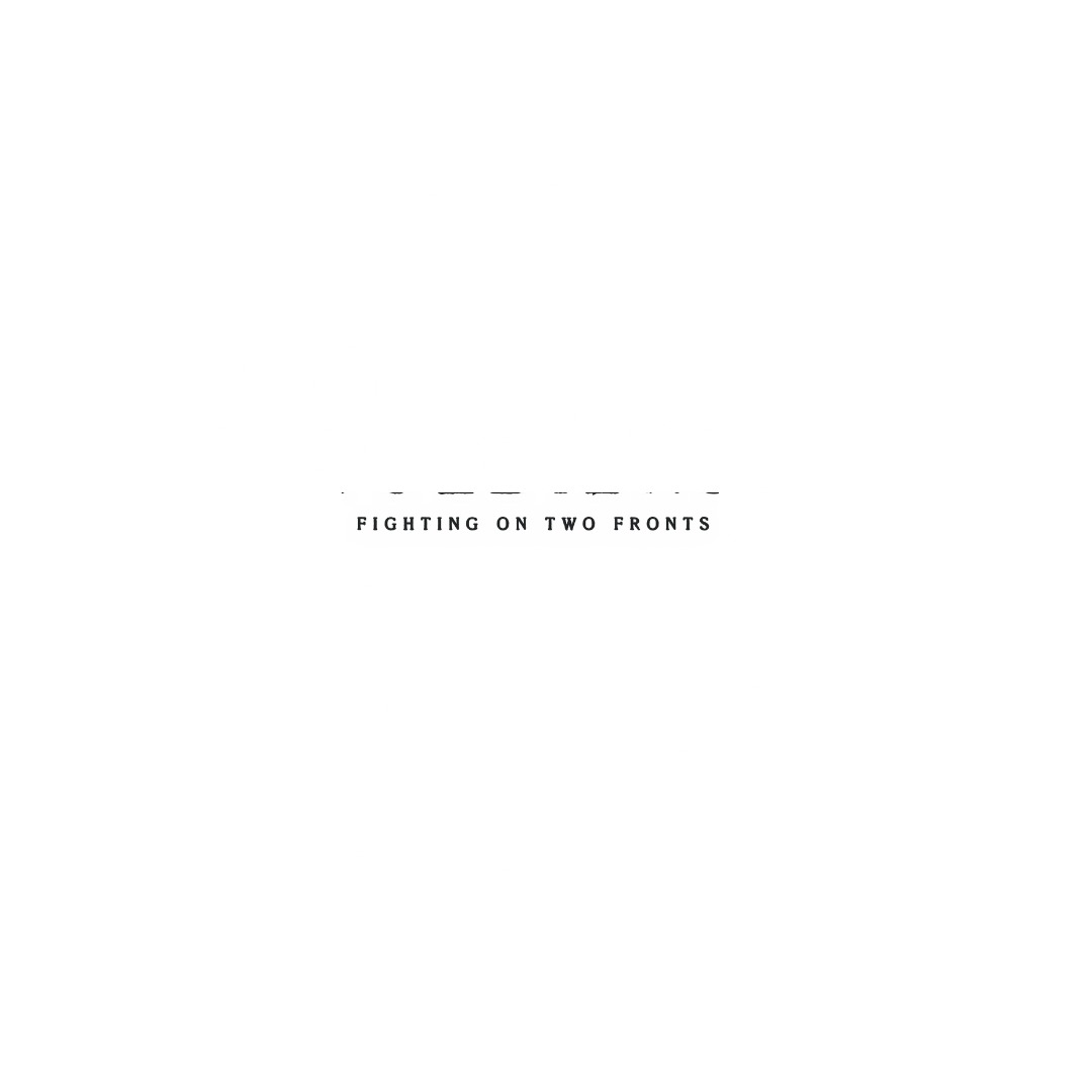 BUFFALO SOLDIERS: FIGHTING ON TWO FRONTS