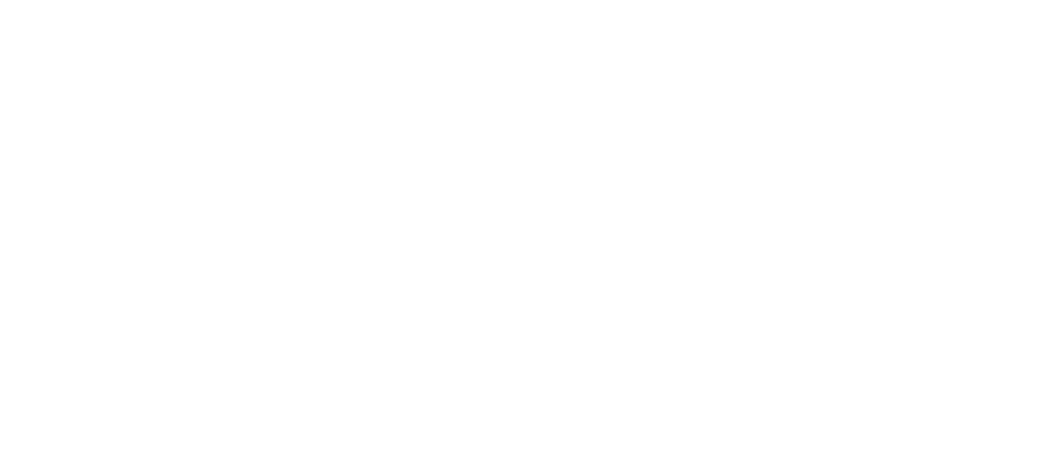 SEATTLE FILM SUMMIT