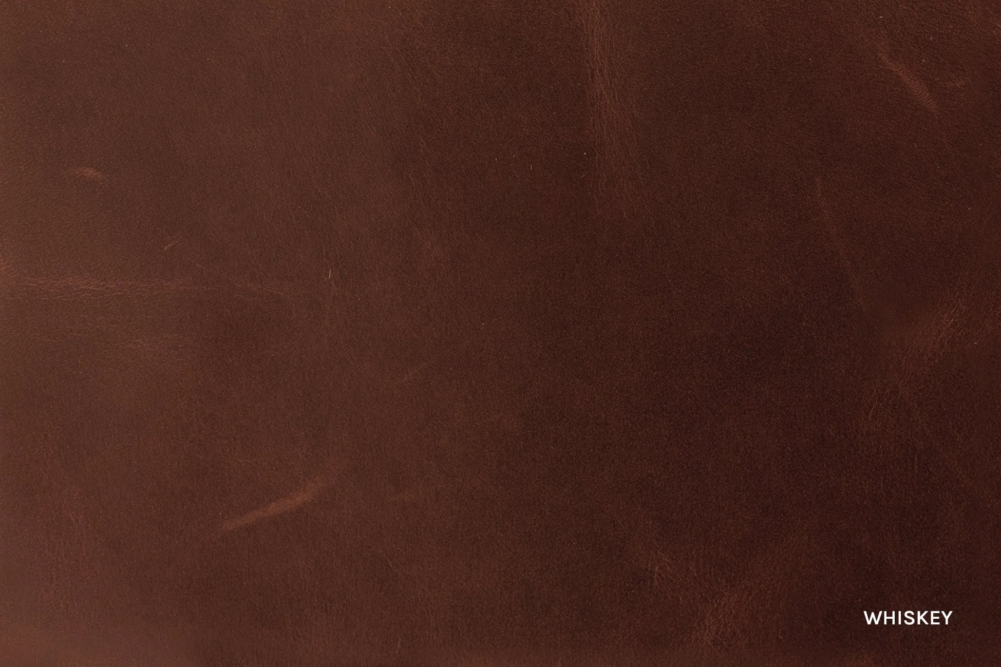 TCブラウンM Arazzo Tokyo Upholstery Leather | The Tannery Row | Leather