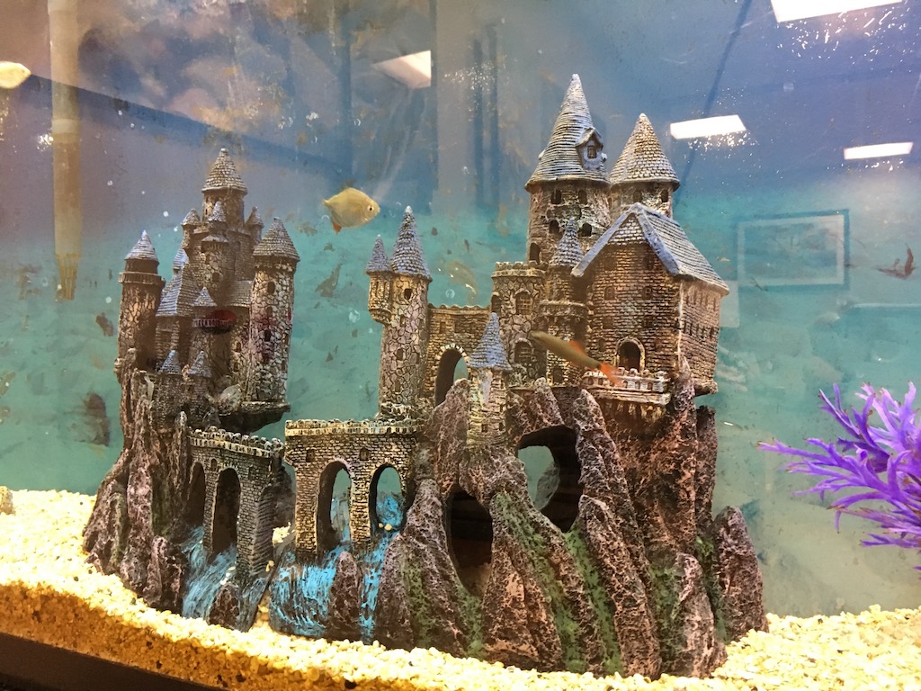 丹妮丝sCastle.jpeg