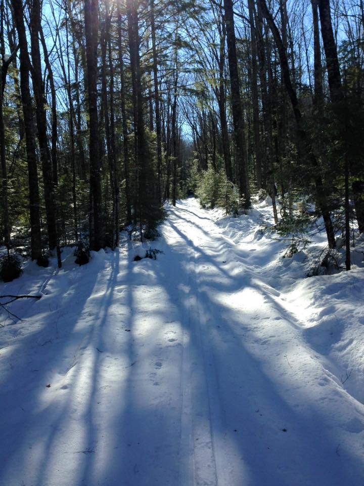 SUgarbushTrail.jpg