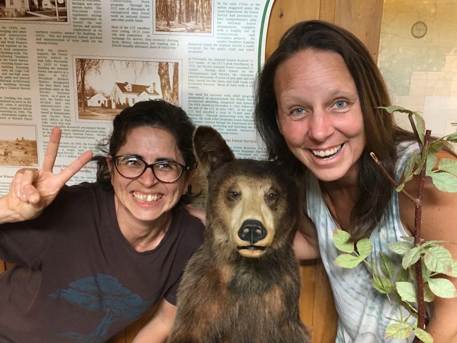 SarahBear.jpg