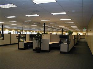 cubicles in an anonymous workplace