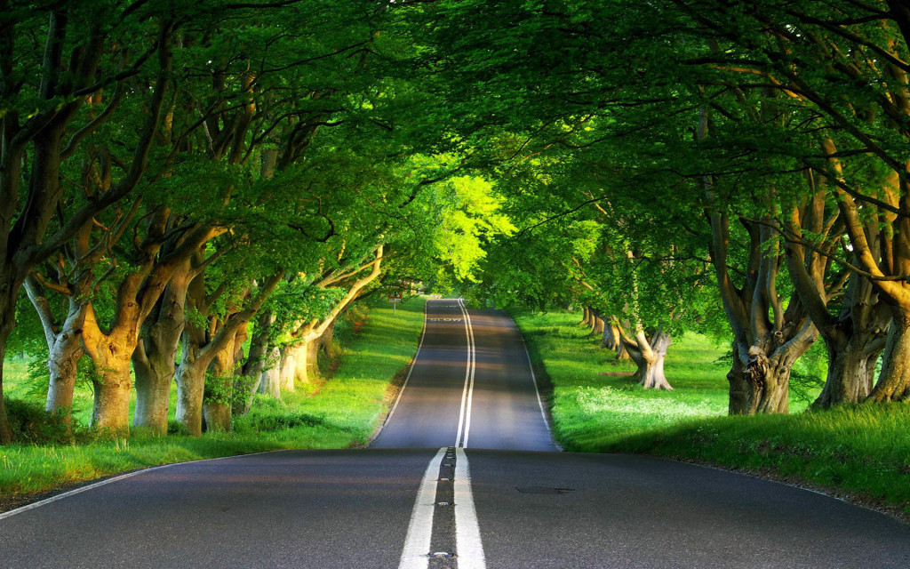 spring-green-road-landscape-high-definition-wallpaper-desktop-background-download