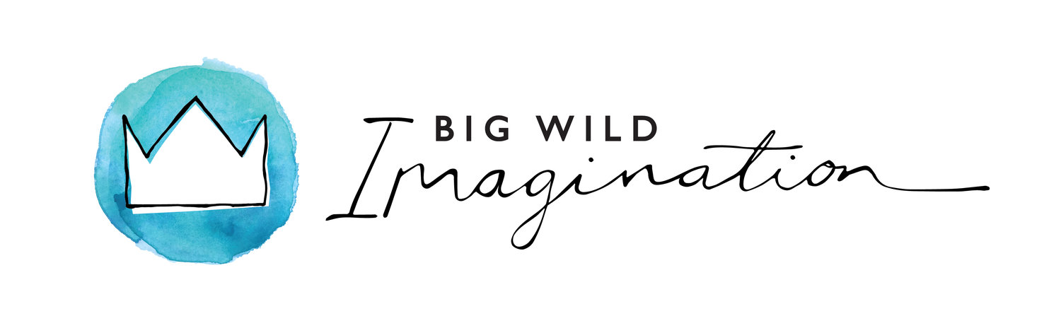 Big Wild Imagination