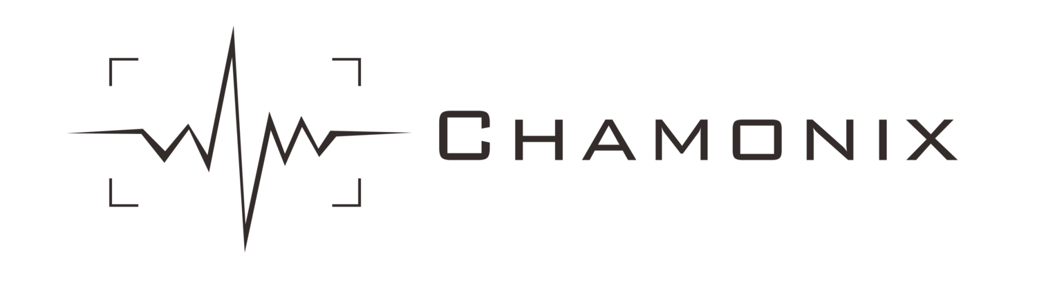 Chamonix View Camera