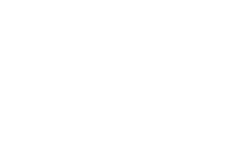 The Northern Lights Saloon