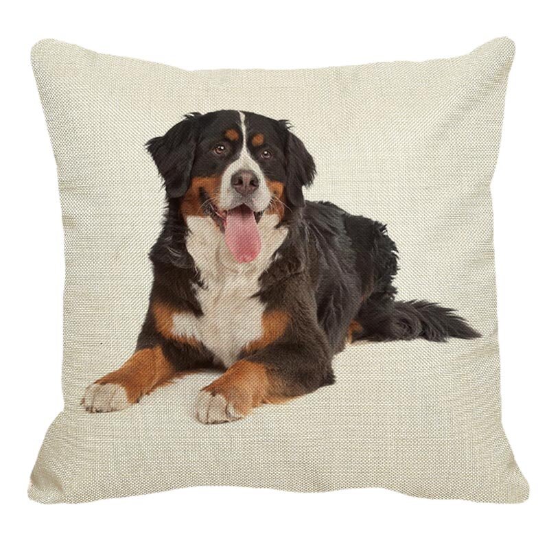 AD-BER6-CPW Bernese Mountain Dog Soft Velvet Feel Cushion Cover With Inner Pill 