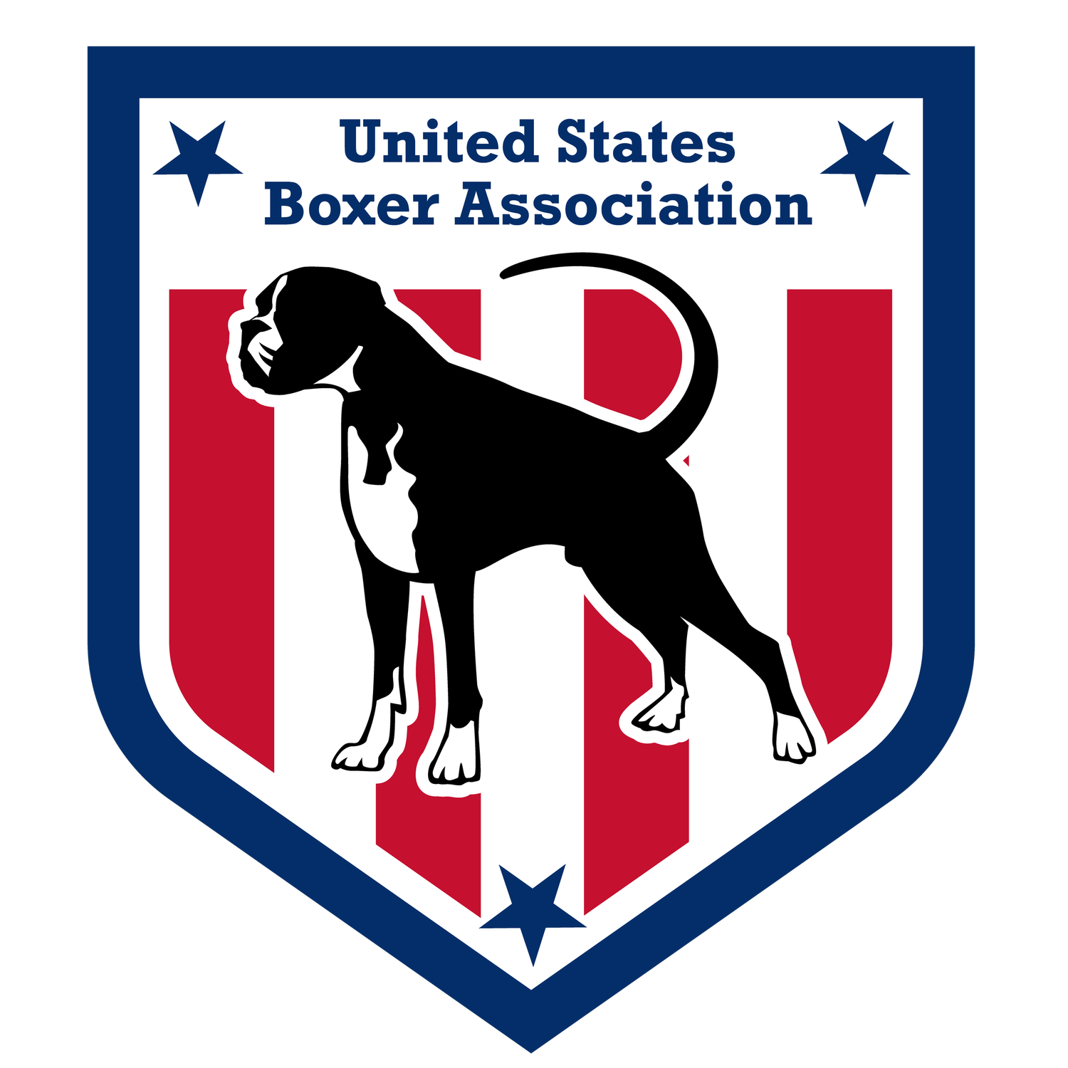 US Boxer Association