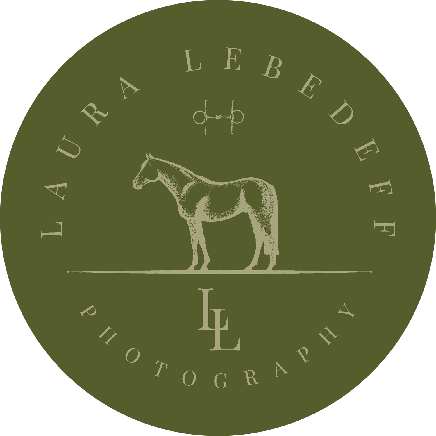 LAURA LEBEDEFF PHOTOGRAPHY - EQUINE PHOTOGRAPHER