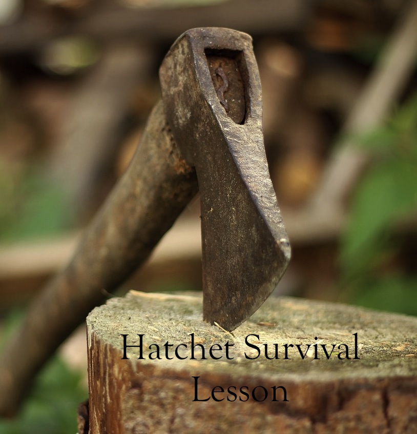 Pdf Copy Hatchet Survival Lesson Frontier Life