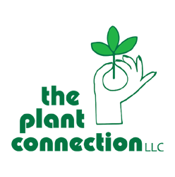 The Plant Connection LLC