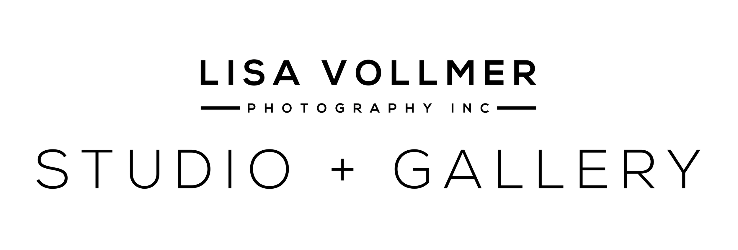 LISA VOLLMER PHOTOGRAPHY