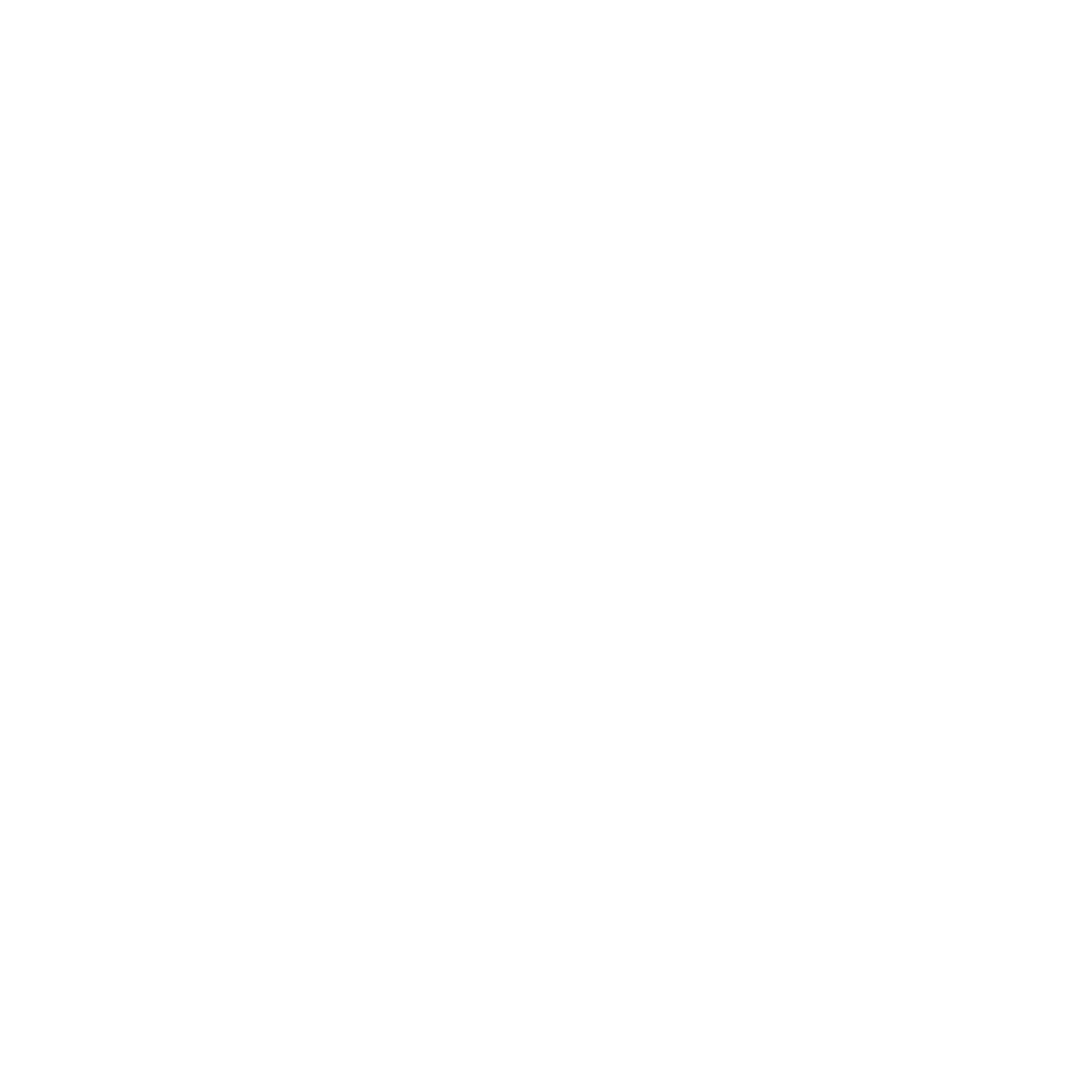 Broken Nose Theatre