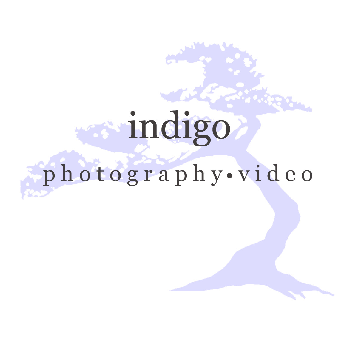 Indigo Photography • Video