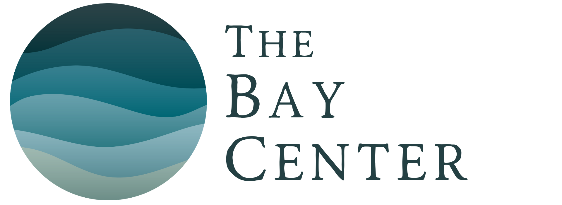 The Bay Center