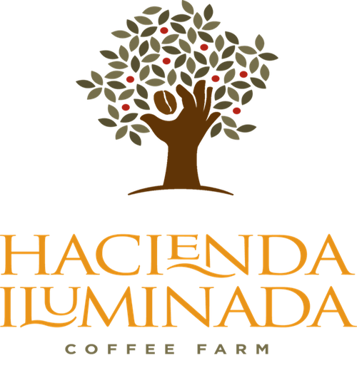 Hacienda Iluminada Coffee Farm