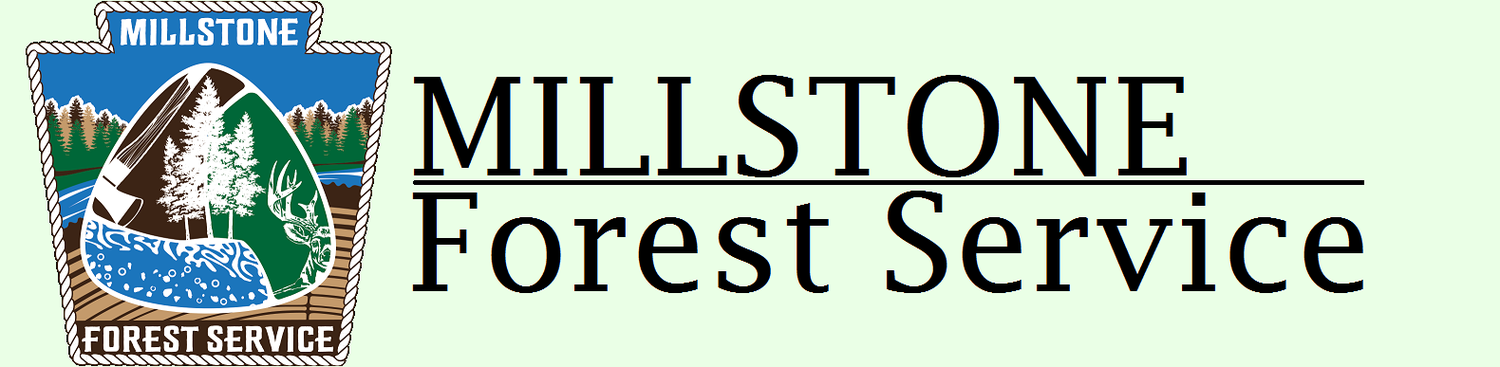 Millstone Forest Service