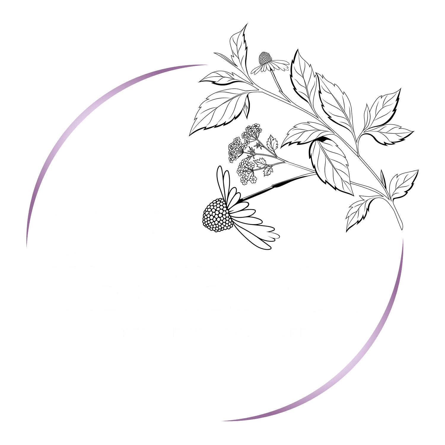 OUR TEMENOS