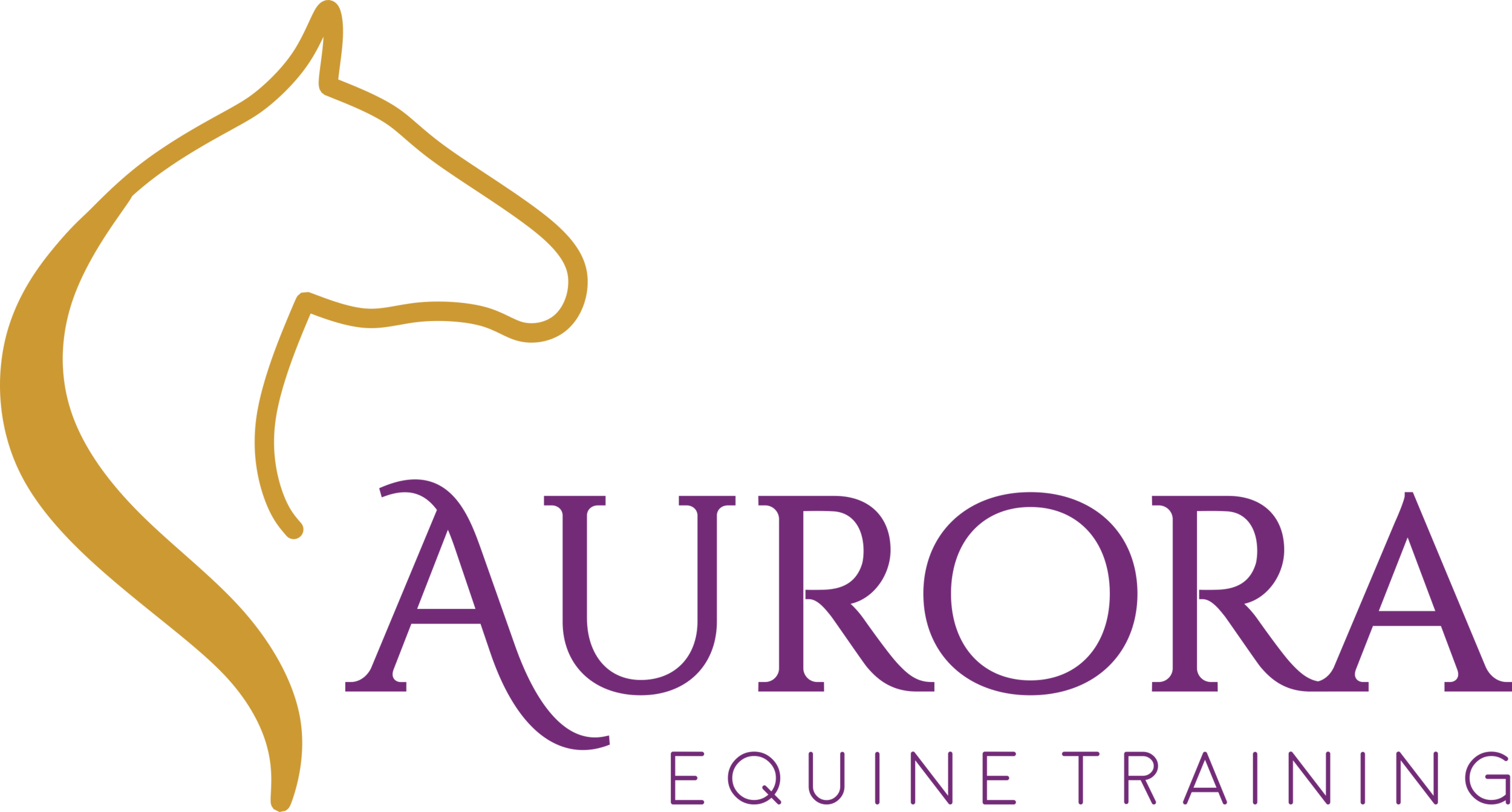 Aurora Equine Training 
