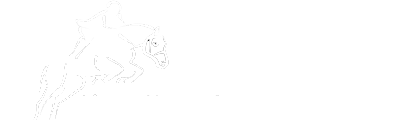 Livery Horse Farm