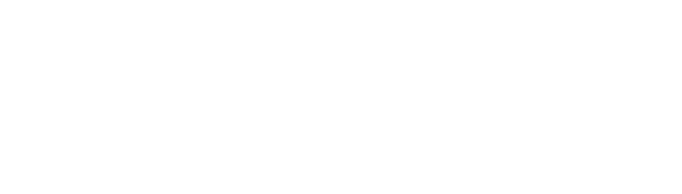 Vischer Ferry General Store