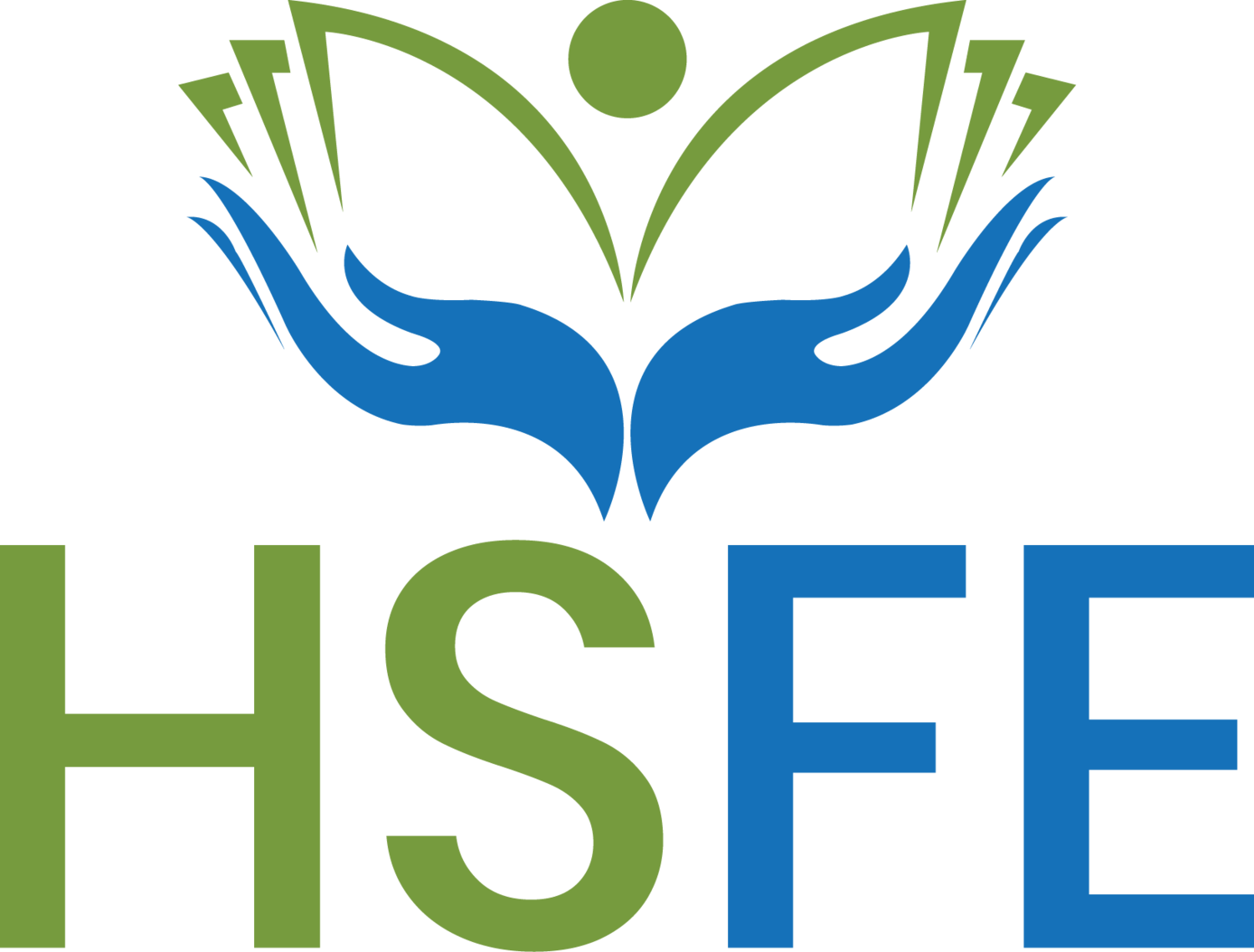 HSFE Ltd