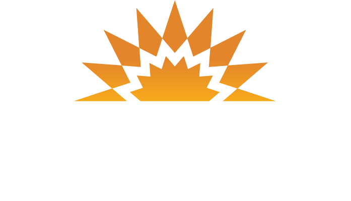 Cyberdyne Solar