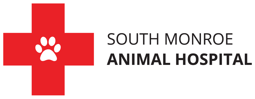 South Monroe Animal Hospital