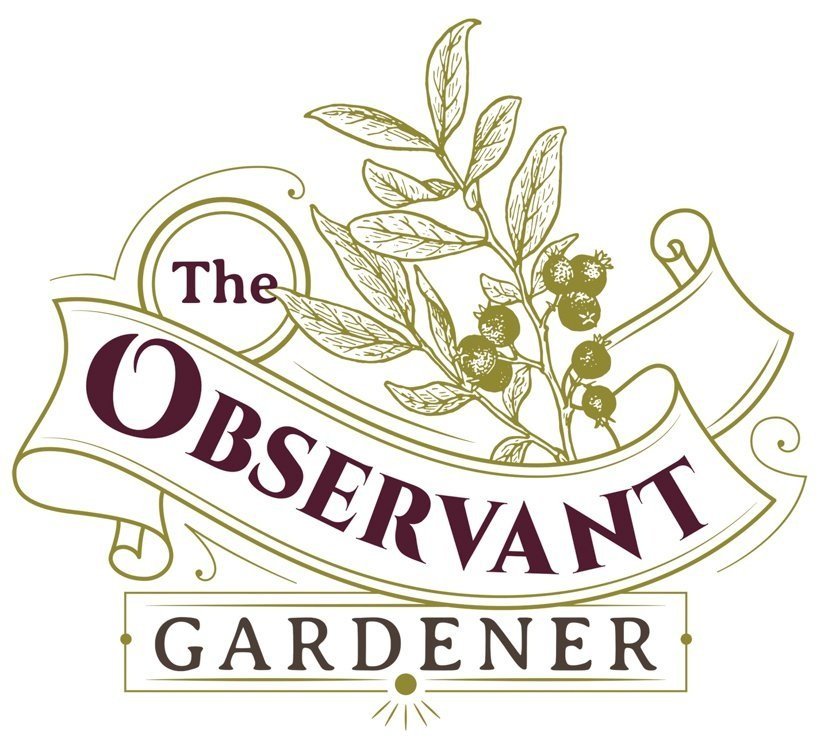 The Observant Gardener