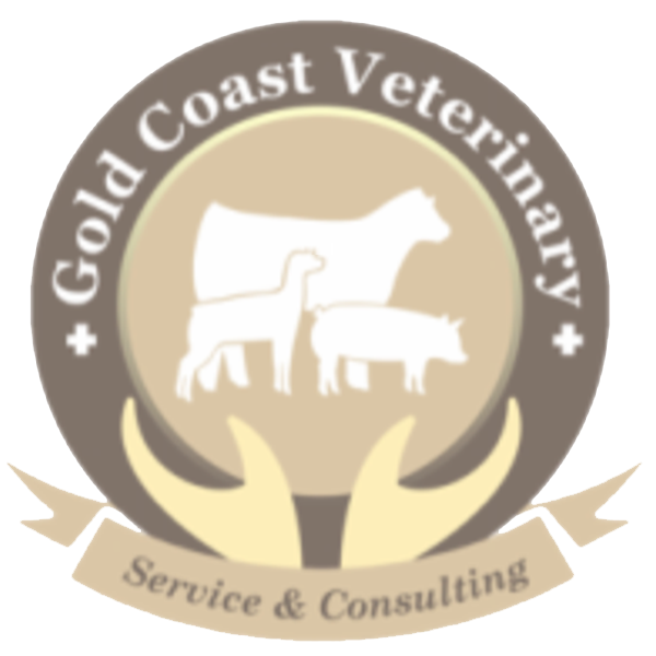 Gold Coast Veterinary Service & Consulting