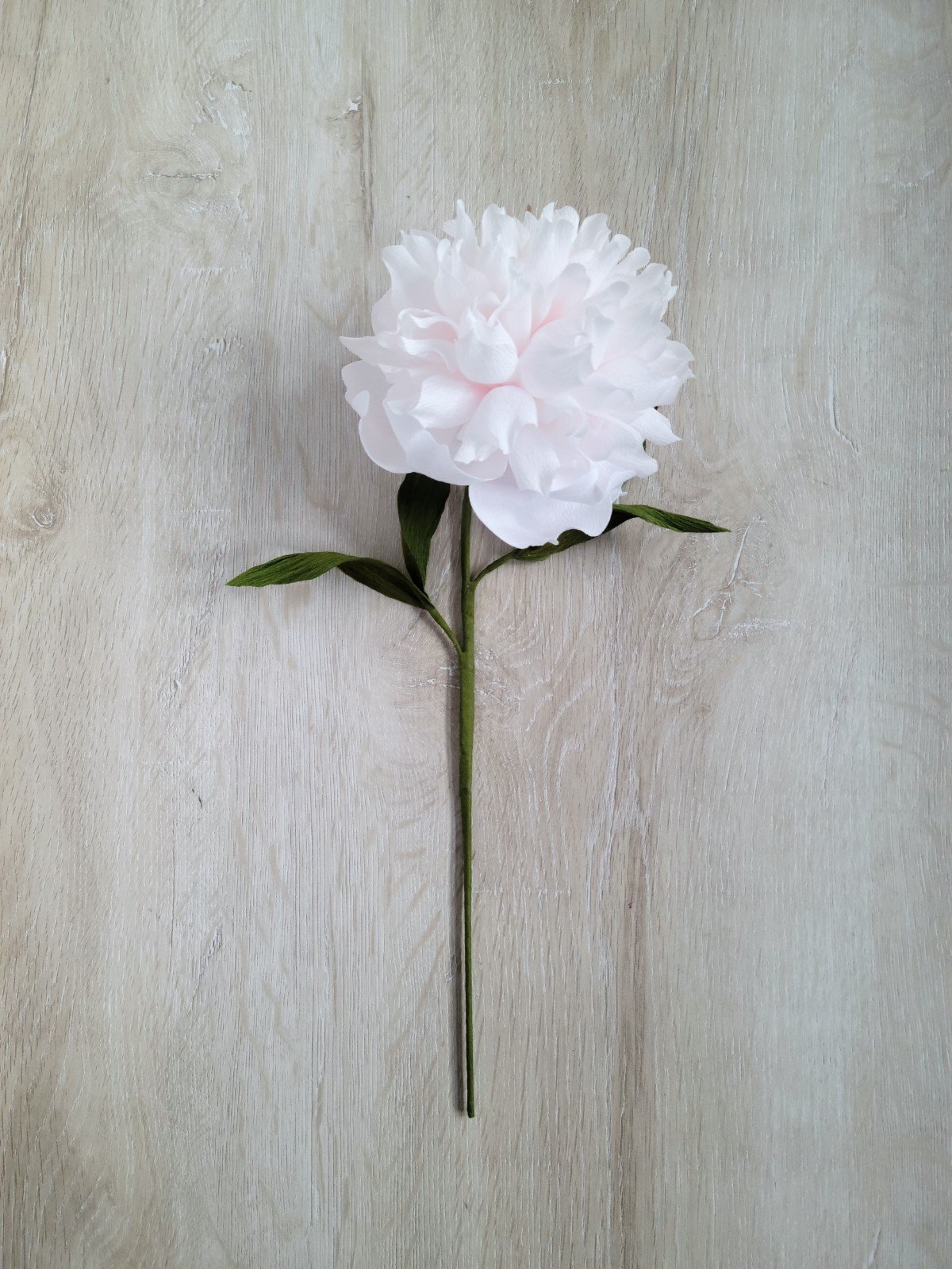 Crepe Paper Peony Flower — Franky & J.