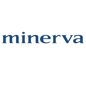 Minerva Nonprofit Management Consulting