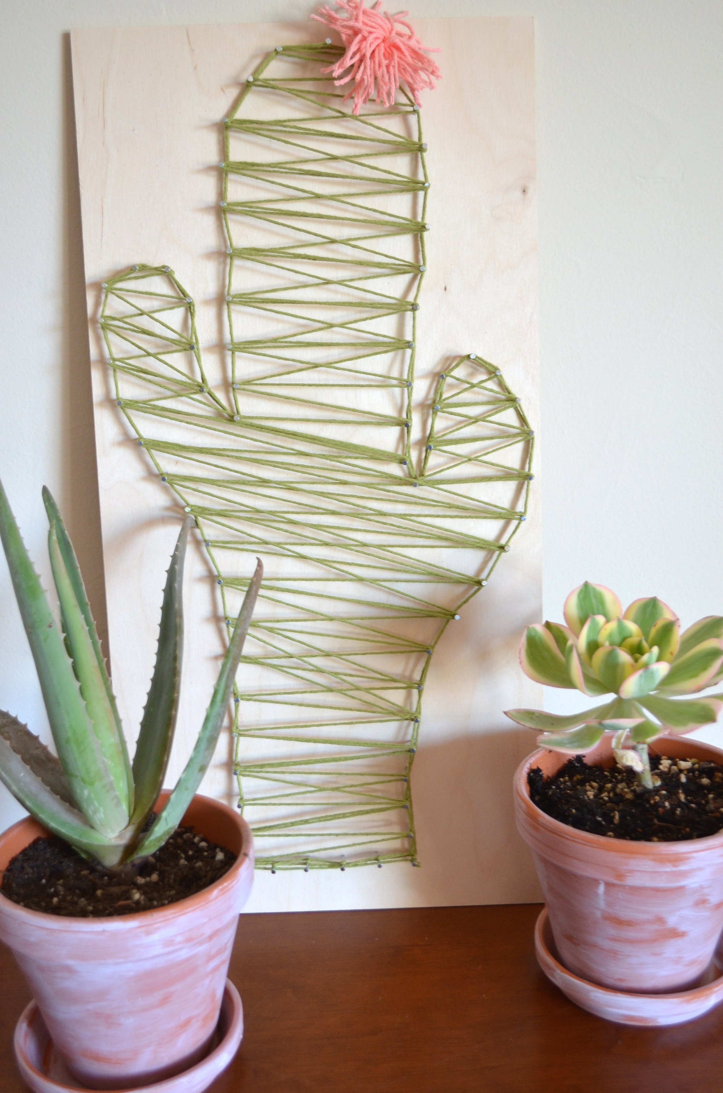 DIY Cactus String Art Craft - From Scratch with Maria Provenzano