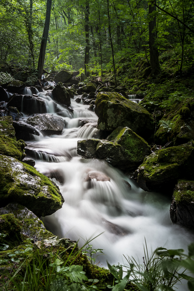 20170614-Soco-Falls-Blue-Ridge-Parkway-NC - Jennifer-Carr-Photography-5.jpg