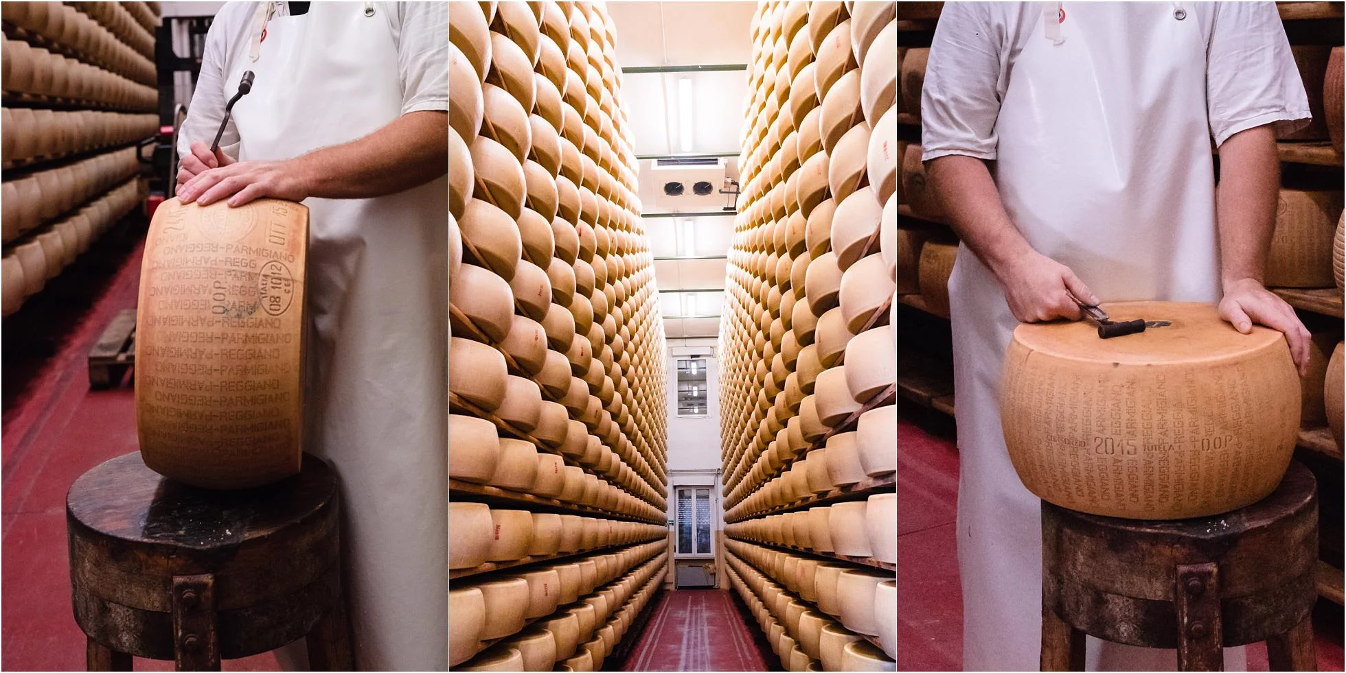 帕尔马干酪reggiano caseificio美味巴士游帕尔马意大利