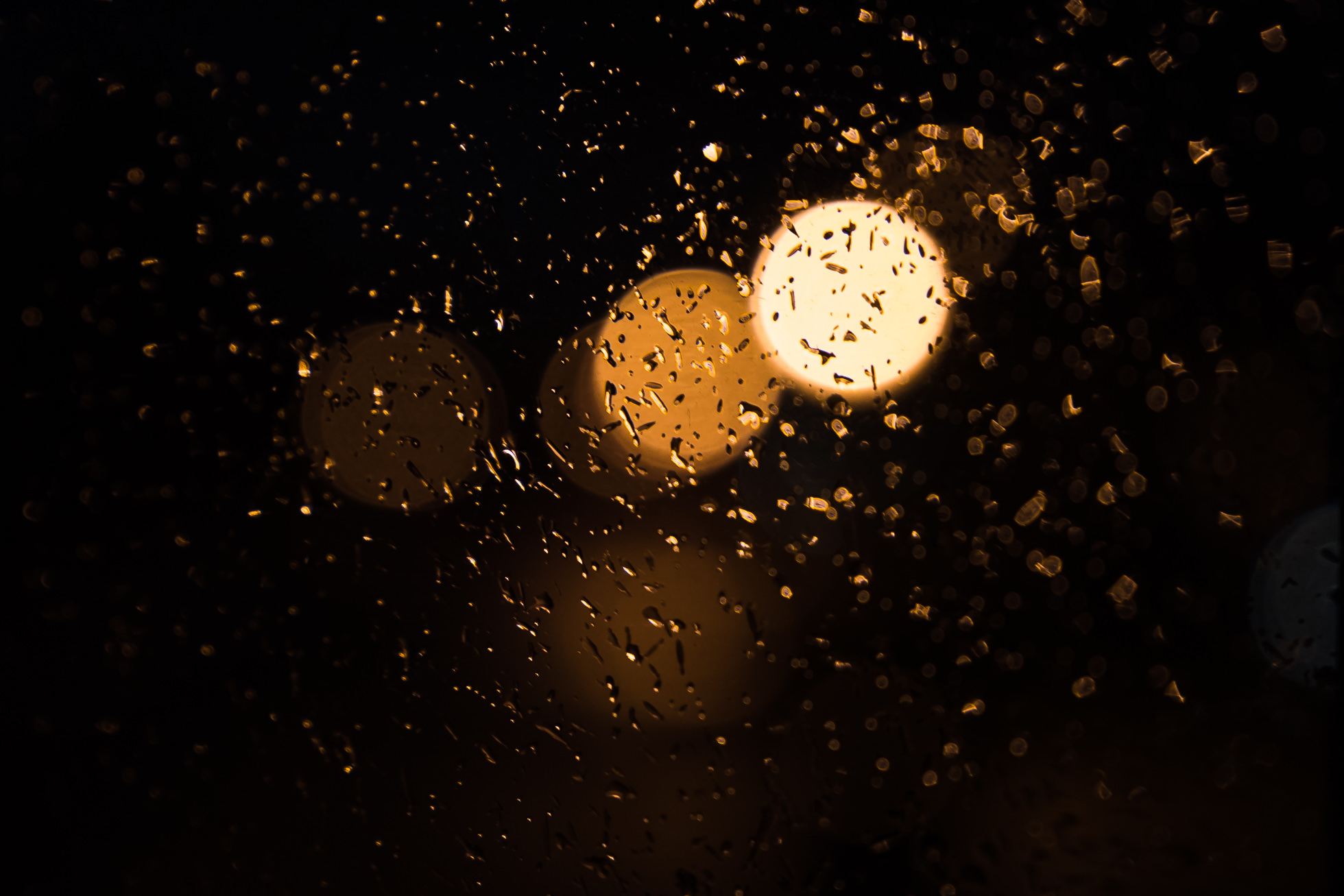 詹妮弗·卡尔摄影弗吉尼亚海滩,雨落在窗户上的灯聚焦