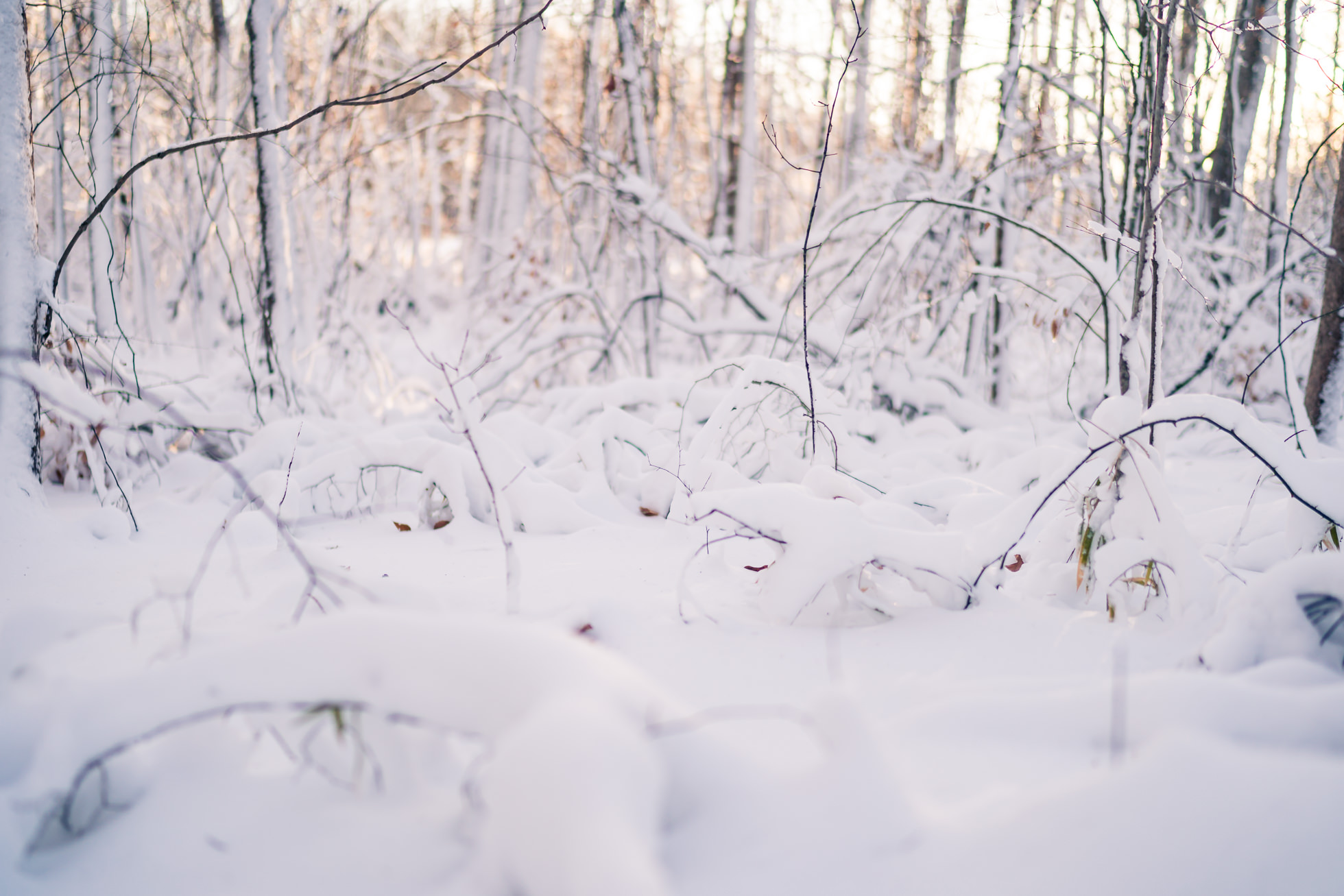 雪在弗吉尼亚海滩