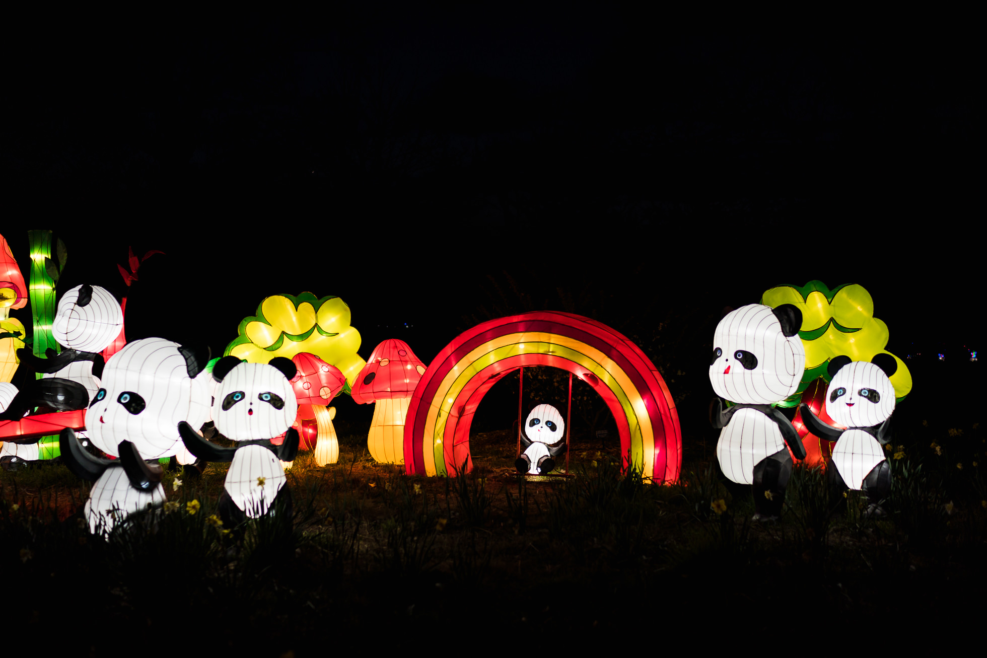 诺福克植物园,亚洲灯笼展览