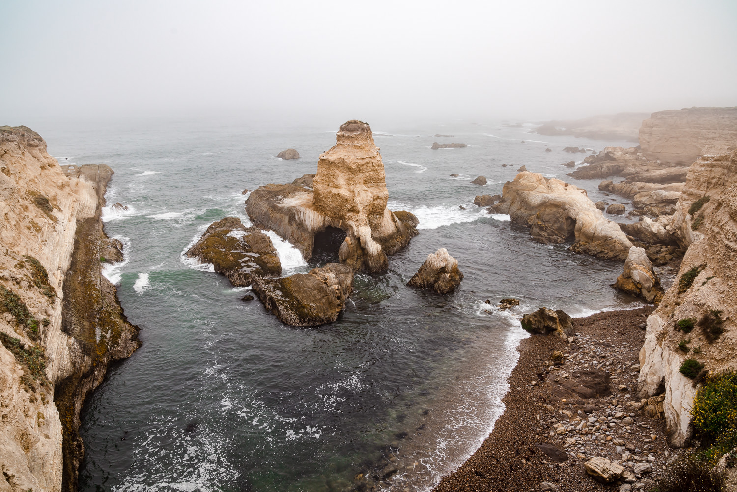 Montana de Oro State Park 加利福尼亚州 ©詹妮弗·卡尔摄影-21.jpg