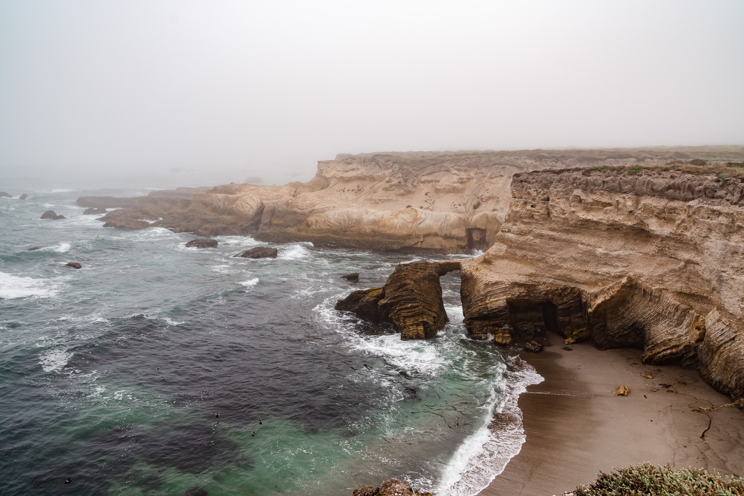 Montana de Oro State Park 加利福尼亚州 ©詹妮弗·卡尔摄影-5.jpg